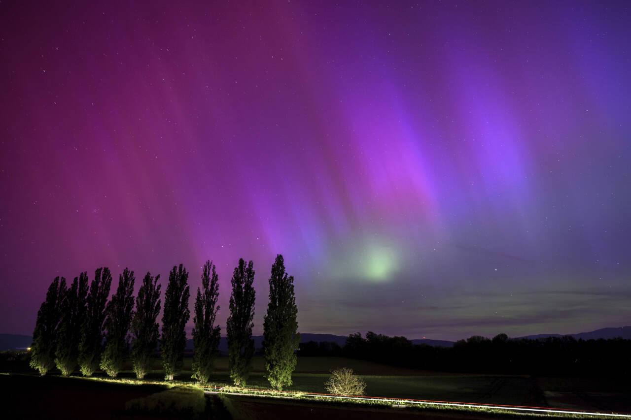 På dette langtidseksponerte bildet kjører en bil forbi og lyser opp popler mens nordlyset gløder på nattehimmelen over landsbyen Daillens i Sveits, tidlig lørdag 11. mai 2024. Foto: Laurent Gillieron / AP / NTB 