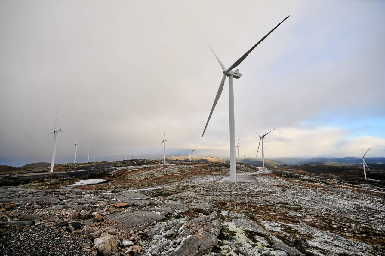 Vindturbinene på Fosen i Trøndelag har vært svært omstridte, og Høyesterett fastslo i 2021 at utbyggingen krenket reindriftssamenes rettigheter. Foto: Ole Martin Wold / NTB