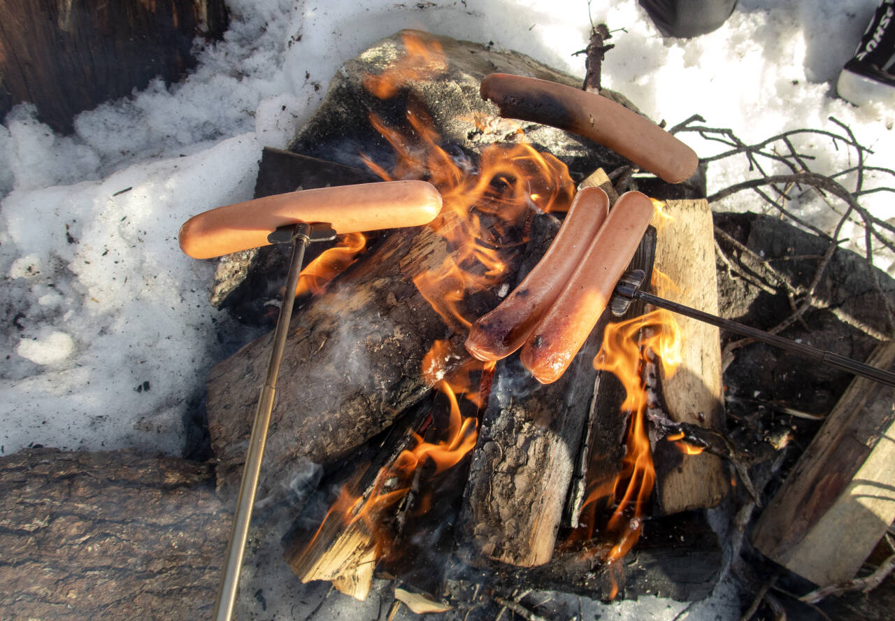Griller du pølse ute i skogen kan det være den mest kreftfremkallende formen for grillmat. Foto: Gorm Kallestad / NTB