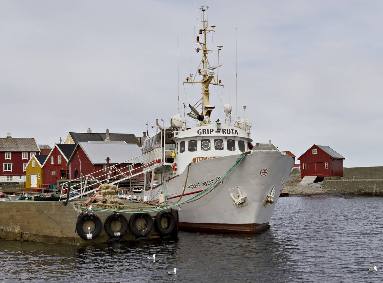 Ole Tønder har laget ned en større innsats og fått fart i Griparuta. Her ligger «Hagbart Waage» ved kaia på Grip. Foto: Terje Holm