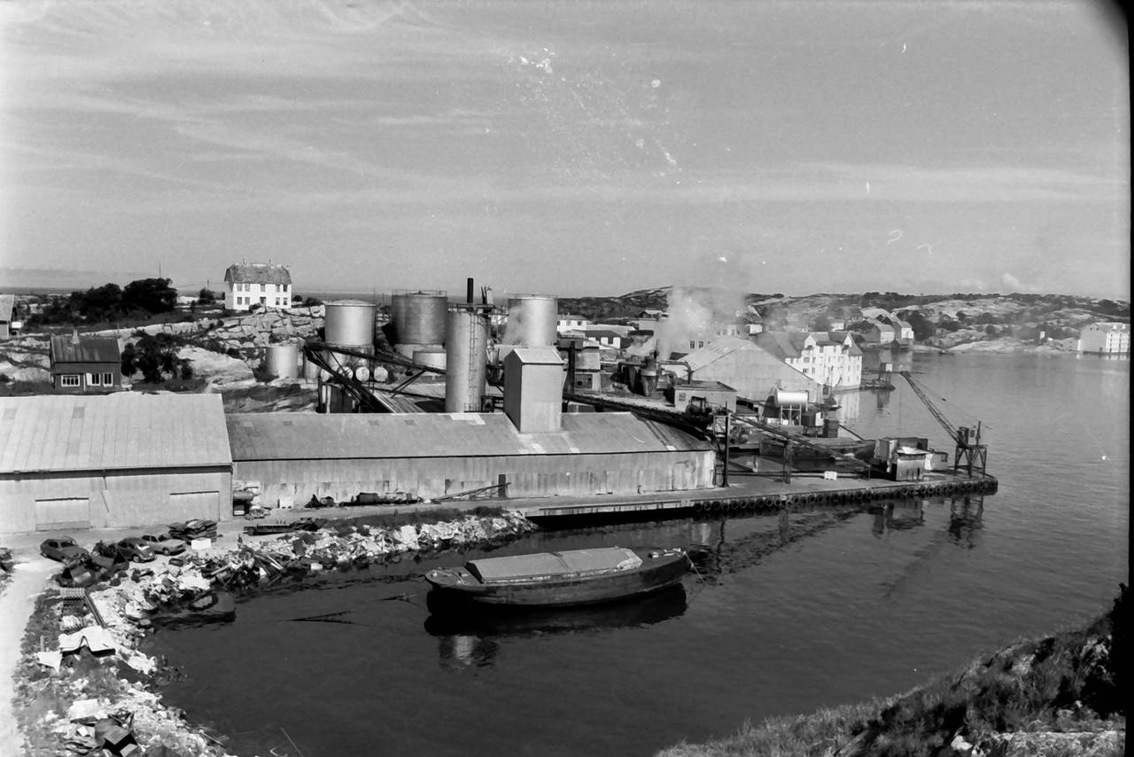 Sildoljefabrikken på Bentneset. Foto: Per Helge Pedersen fotoarkiv