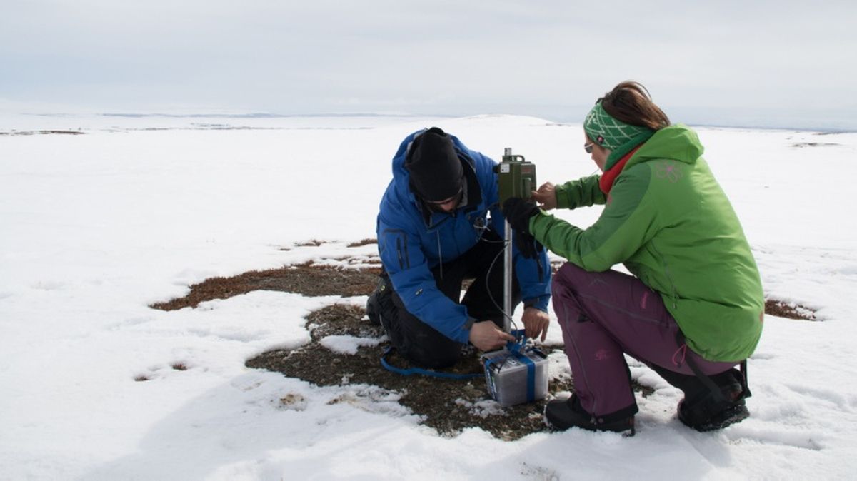 Forskere fra Institutt for arktisk og marin biologi setter ut lyttestasjoner for registrering rype som hevder revir. Foto: John-André Henden