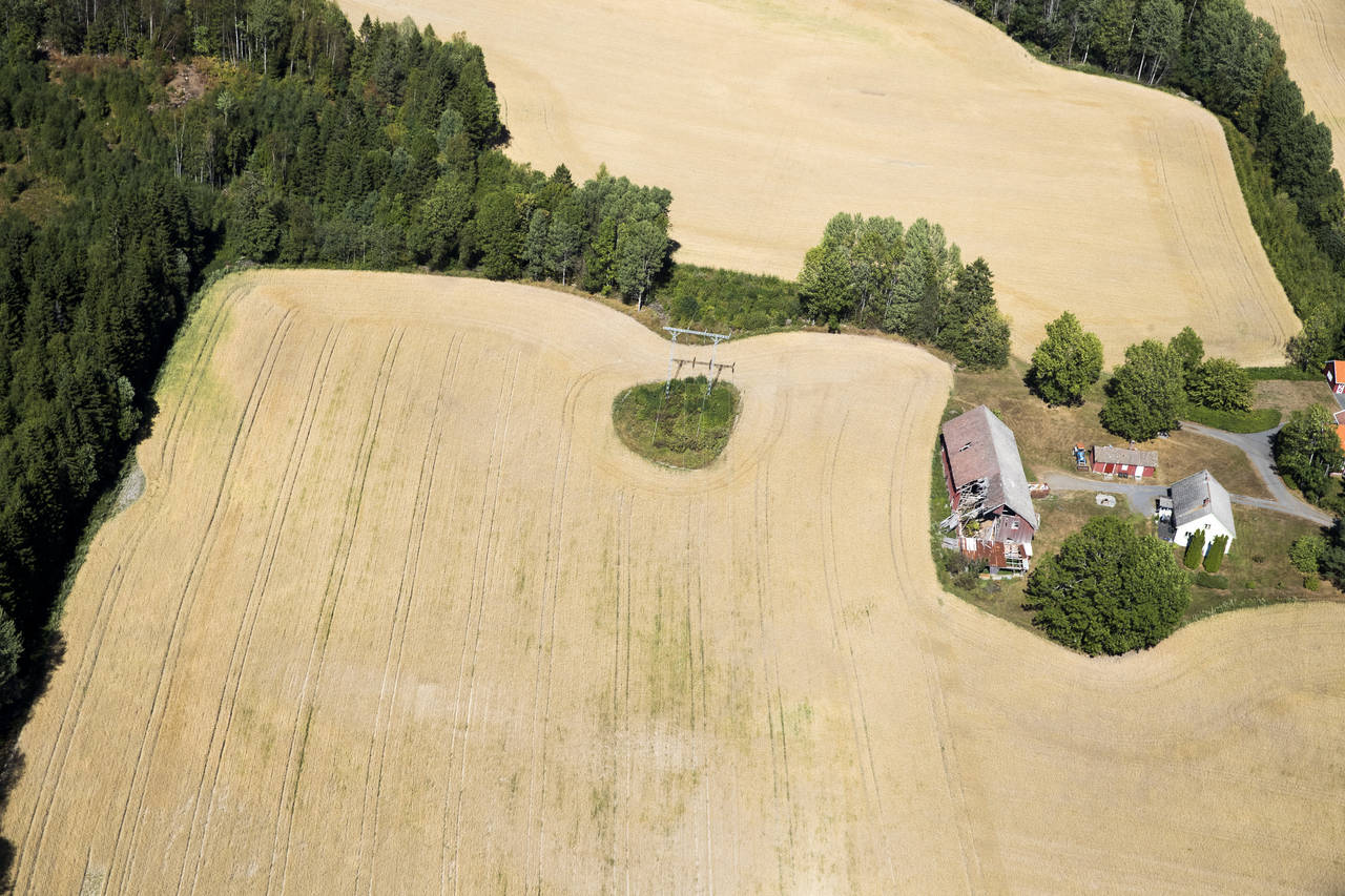 For første gang er det under 40.000 aktive bønder i Norge, viser tall fra søknader om produksjonstilskudd til Landbruksdirektoratet. Foto: Berit Roald / NTB scanpix