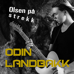 Cover til «Olsen på strekk».