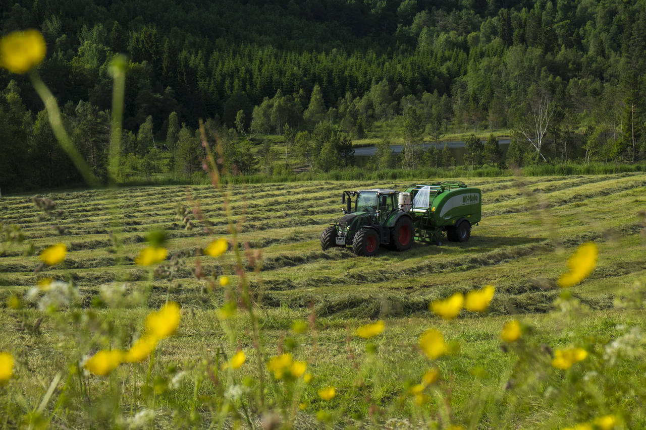 Norge får stadig færre og stadig større gårdsbruk. Foto: Vidar Ruud / NTB scanpix