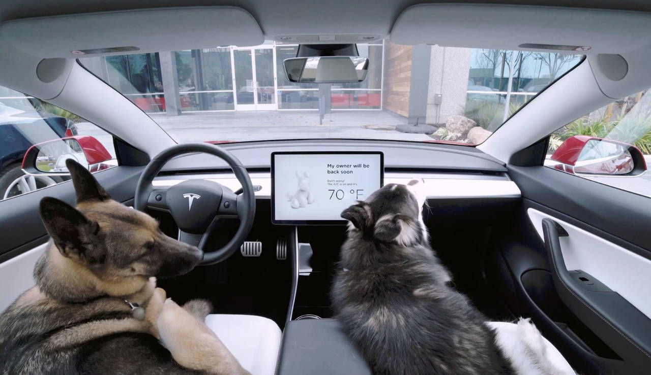 VOFF-VOFF: Tesla introduser et eget program som skal sørge for at bikkjene har det bra når de er alene i bilen. FOTO: Produsenten