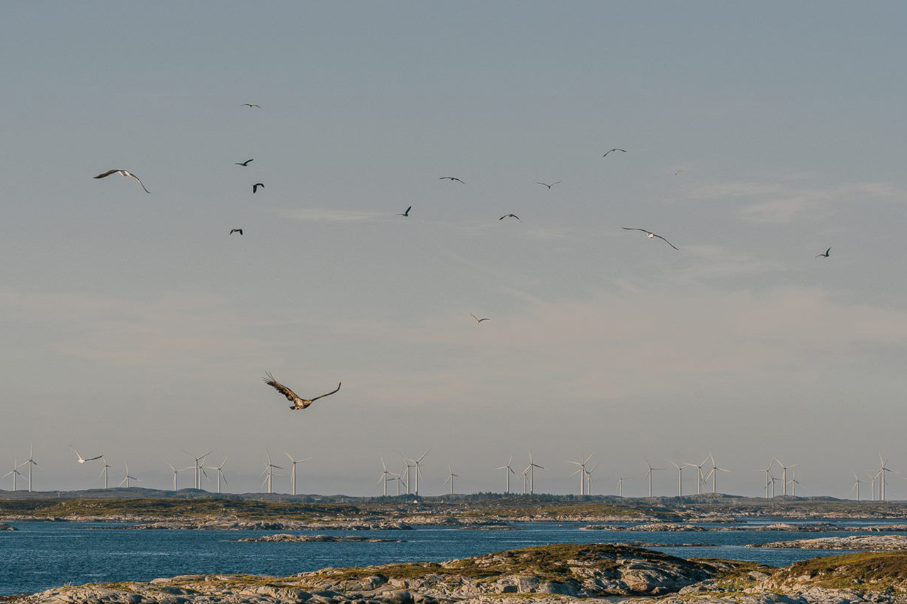 Vindmøllene i Smøla kommune i Møre og Romsdal er allerede bygget, men mange rundt om i landet er negative til planen om å bygge vindmøller i deres nærmiljø. Foto: Kurt Helge Røsand / KSU.NO