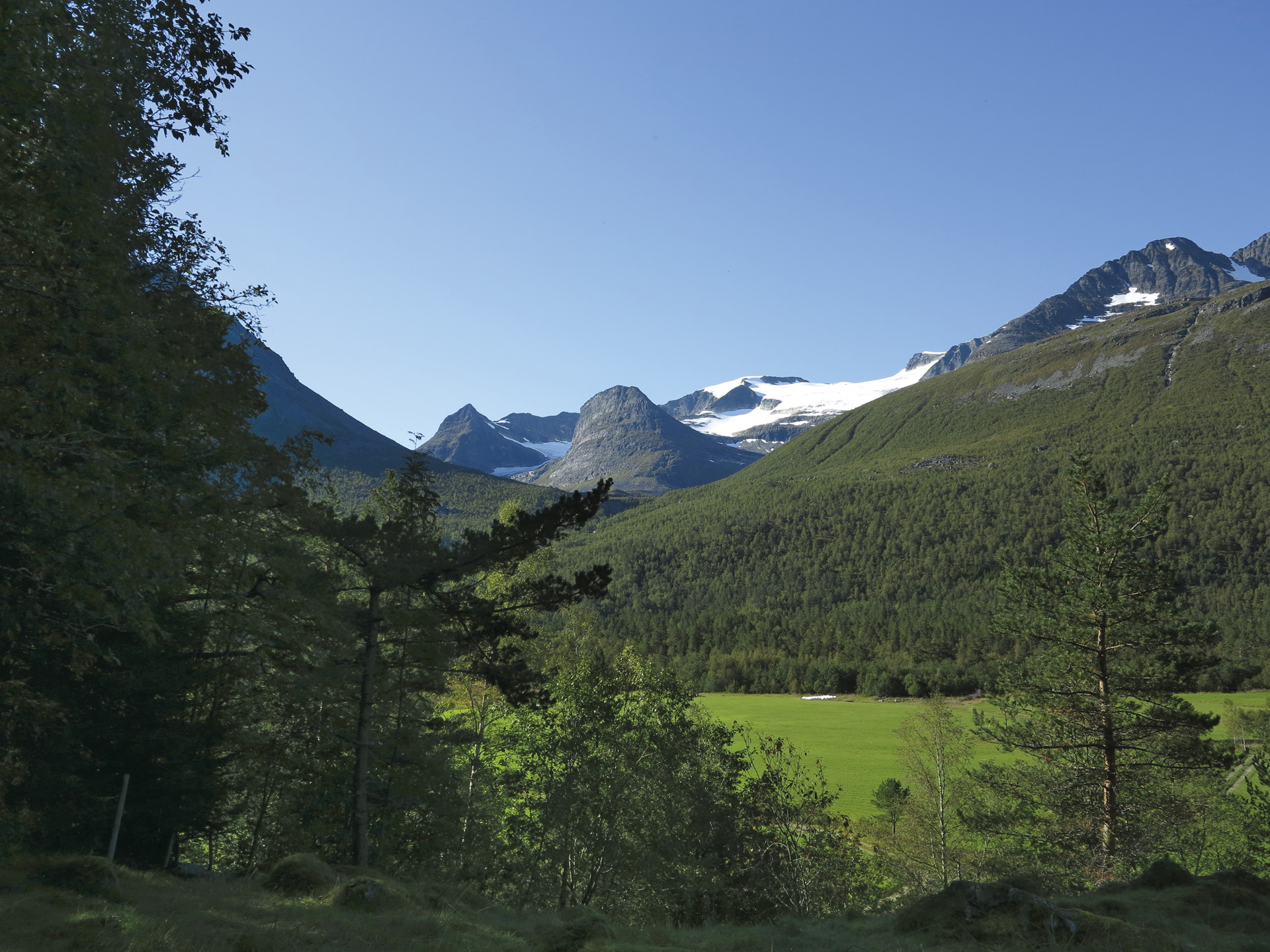 06 Innerdalen Vinnubreen 0309 2017 TH