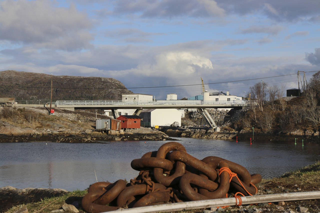 Foto: Terje Holm