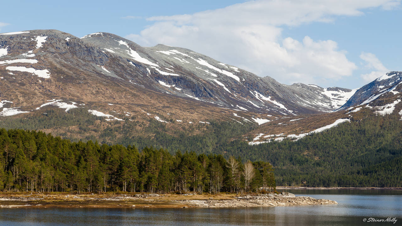 Foto: Steinar Melby