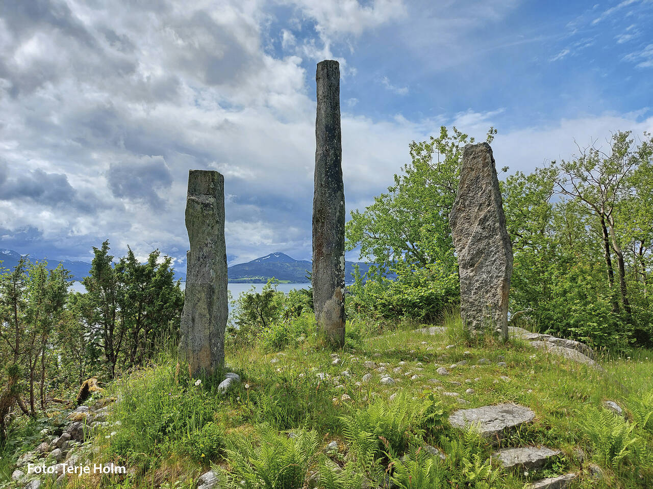 Foto: Terje Holm