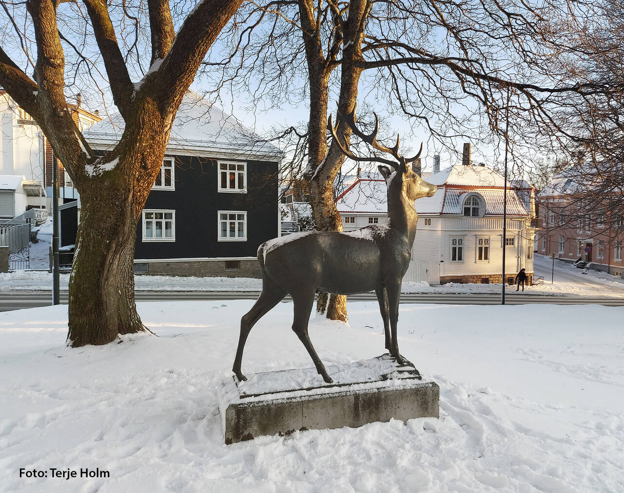 Foto: Terje Holm