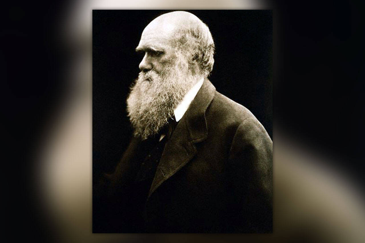 Portertt av Charles Darwin. Foto: Julia Margaret Cameron / Public domain / Wikimedia Commons