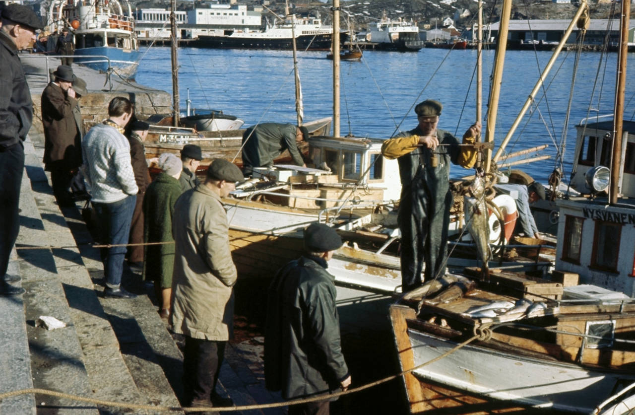 Liv og røre ved Fisktrappa på 1960-tallet. (Bilde utlånt av Nordmøre museum)