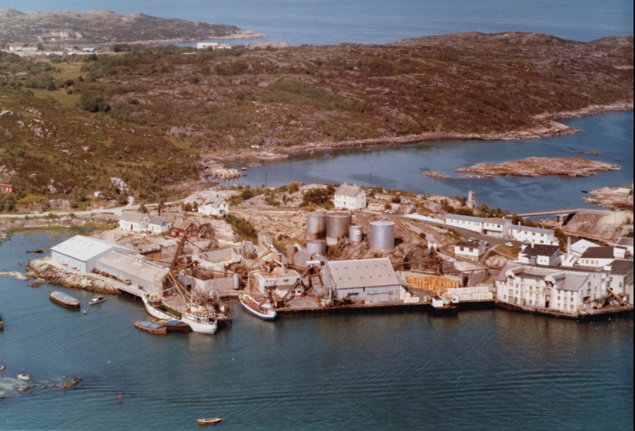 Flyfoto over Bentnes Sildoljefabrikk. Fre Nordmøre Museums fotosamlinger.