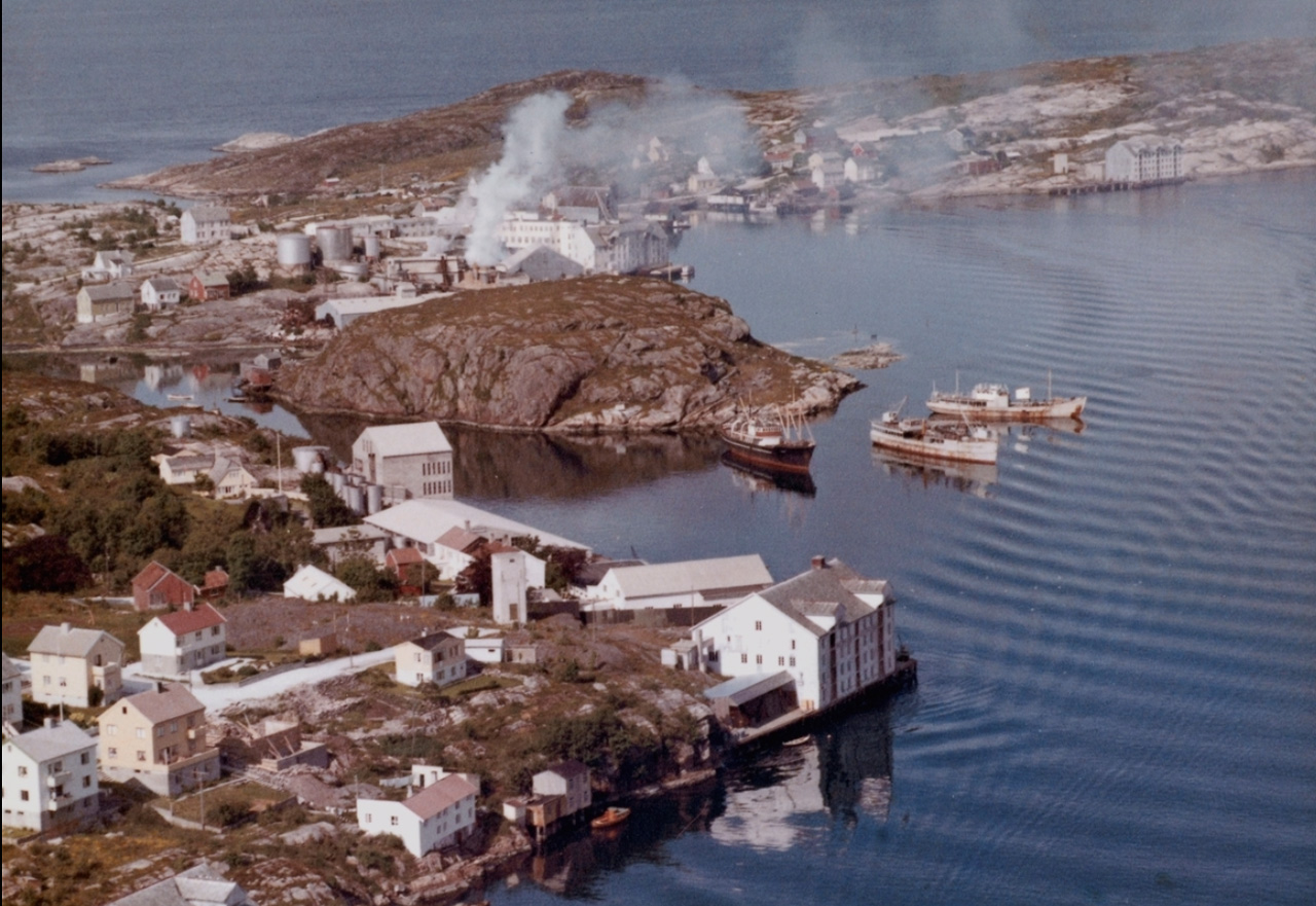 Flyfoto over Goma, Bentneset og Skorpa i 1962. Fra Nordmøre Museums fotosamlinger.