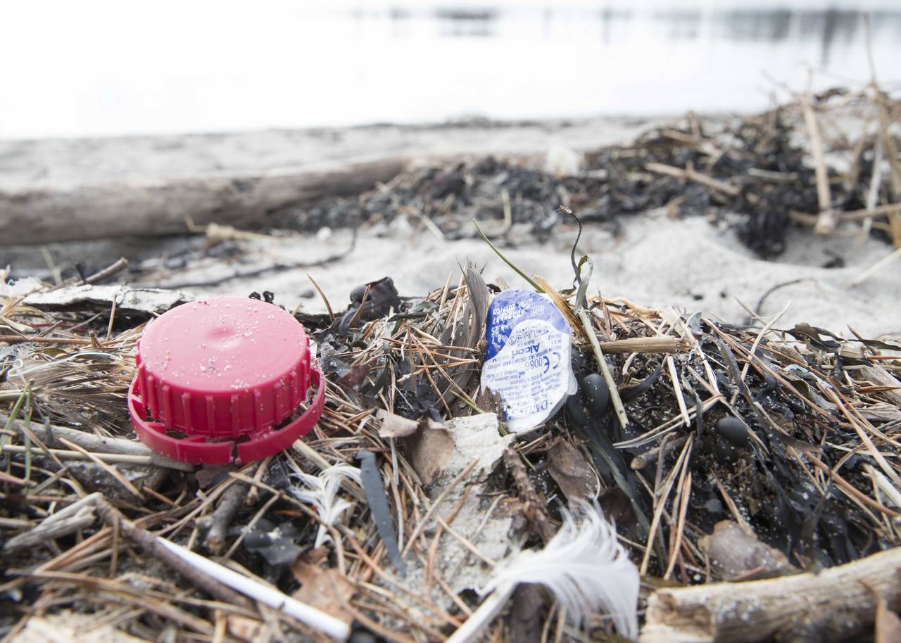 I disse dager dukker det opp plast, mikroplast og mye skrot i strandkanten rundt om i hele landet. Her fra Bygdøy i Oslo. Foto: Terje Pedersen / NTB scanpix