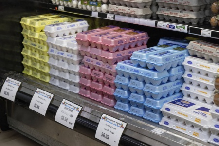Amerikanske forbrukere har måttet venne seg til at egg er en luksusvare. Her fra en butikk i Chicago. Foto: Teresa Crawford / AP / NTB