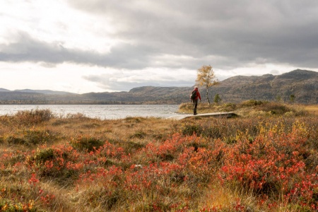 Høst ved Furusjøen i Kvamsfjellet i Gudbrandsdalen. Foto: Paul Kleiven / NTB