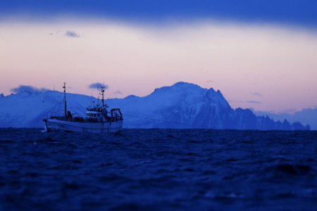 En NTNU-forsker mener det er viktig at Norge tar grep for å forhindre forsøpling i havet etter at en ny undersøkelse viste at store mengder tau havner i norske farvann hvert år. Illustrasjonsfoto: Cornelius Poppe / NTB