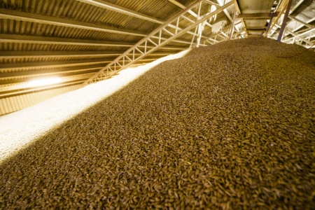 Regjeringen går sammen med aktører i kornbransjen om å etablere nasjonalt beredskapslager for korn i Norge. Den tidligere beredskapsordningen ble avviklet i 2003. Illustrasjonsfoto: Stian Lysberg Solum / NTB