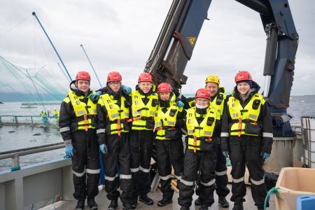 Elever ved Kristiansund vgs. er tre dager i uka på oppdrettsanlegget. | Fotograf: Paredes/André T. Ormset-Paredes