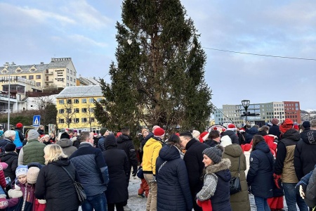 Julegrana på Piren i 2023. Foto: Kristiansund kommune