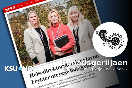 Skjermdump fra VG.