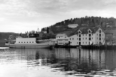 Med sin vakre linjeføring, ble B/F «Tingvoll» kalt for Tingvollfjordens hvite svane. (Bilde utlånt av Geir Emil Angvik)
