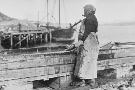 Autentisk klippfiskkjerring fra 1925 i Kristiansund. Foto: Anders Beer Wilse